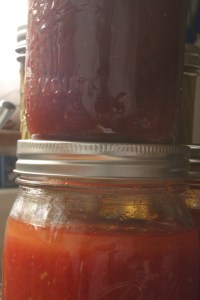 See how dark the tomato paste is, compared to the much lighter ground tomatoes? The paste is brick red, and tastes like heaven.