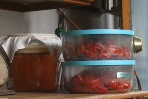 Roasted tomatoes, skins off and ready to be added to sauce.