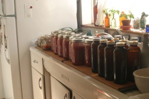 Jars of preserved goodness, marching across the counter.