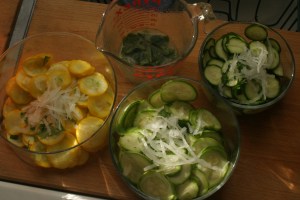 Houseproud homestead kitchen - trio of salads made from summer squash.