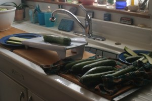 Slicing zucchini, to be dried in slow oven.