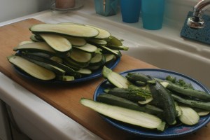 Sliced zucchini, ready to be dried in a slow oven.