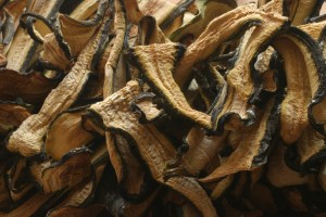 Thinly sliced zucchini, dried in a low oven for a long time.