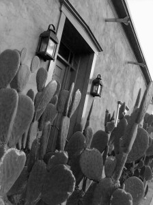 There are a number of lovely adobe homes in the El Presido district of  Tucson - look at this tiny treasure!