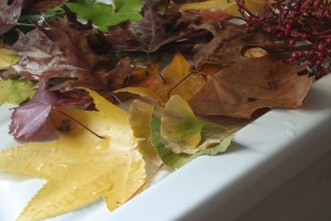 Assorted leaves collected from our neighborhood, rinsed and ready to be used as decorations.  I've decorated a shelf in the IVAR unit in the Houseproud living room with natural leaves comme ca, and I'm planning to collect more to make a spray to hang on our apartment door ...v