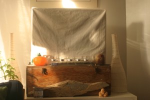 Our TV has a cozy covering it - doesn't yours?  I made ours from the remnants of an old organic cotton canvas chair slipcover that I had in my stash.  The decorations around the tv change with the seasons.  Right now it has a fall theme, but that'll change soon ...