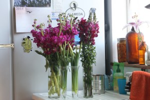 Cut flowers in vases on the Houseproud kitchen's sink counter, waiting to be swabbed out and down.  Extra bonus points if you spot the jar of refrigerator pickles sitting on the window ledge behind the flowers (yellow beets, if you want to know - they need a few more days to cure in the fridge, so I'll let you know how they turned out when next I post).  
