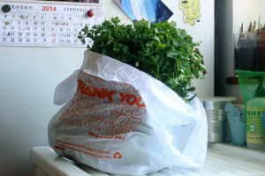 This bag just about KILLS me - it's made of taffeta, embroidered to look like one of those "thank you for shopping with us" disposable plastic totes.   I used it to carry home my shopping from the Marketplace this Sunday.