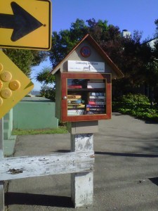 Alameda has a couple of these little free libraries.  This one's at the end of Central, right by the estuary.