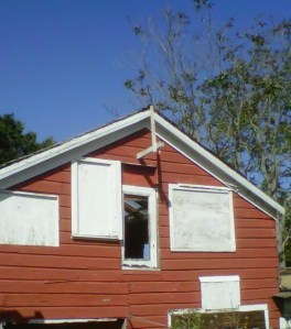 Alameda - top of dilapidated barn near Marketplace