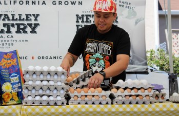 Houseproud fieldtrip farmers market eggs IMG_1229