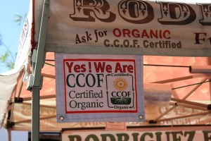 Houseproud fieldtrip farmers market organic farm IMG_1256