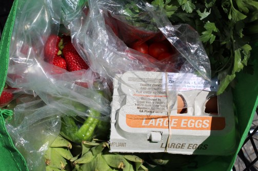 Houseproud fieldtrip farmers market purchases IMG_1266