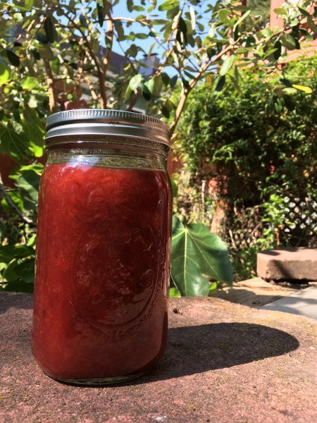 Houseproud jar of plum sorta-jam IMG_2800