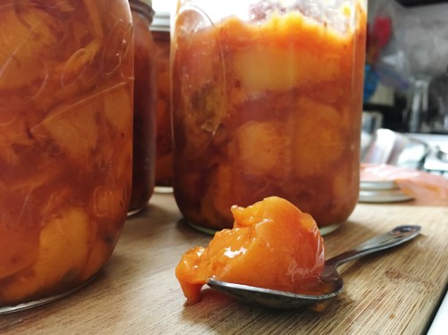 Houseproud peach sorta-jam IMG_2626