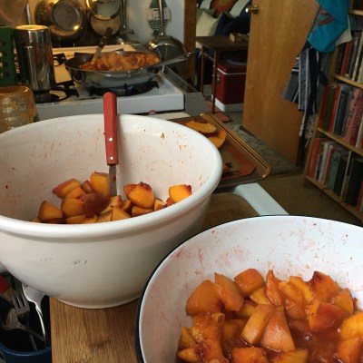 Houseproud peach sorta-jam production line IMG_2587