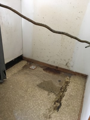 Houseproud shame - kitchen stove area before IMG_2724