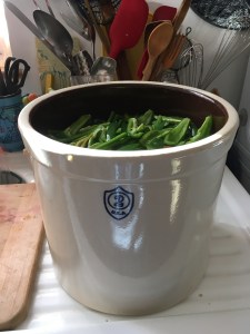 Houseproud fermented jalapenos part I IMG_3115