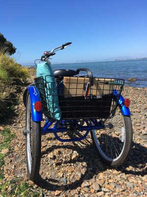 Houseproud fieldtrip picnic Bay Farm Island IMG_3049