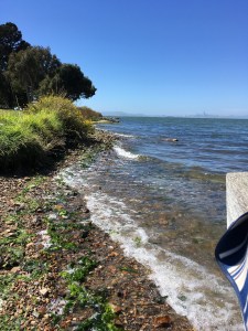 Houseproud fieldtrip picnic Bay Farm Island IMG_3065