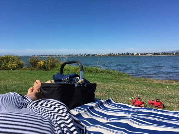 Houseproud fieldtrip picnic Bay Farm Island IMG_3071