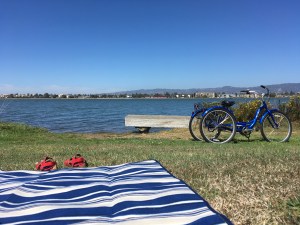 Houseproud fieldtrip picnic Bay Farm Island IMG_3073