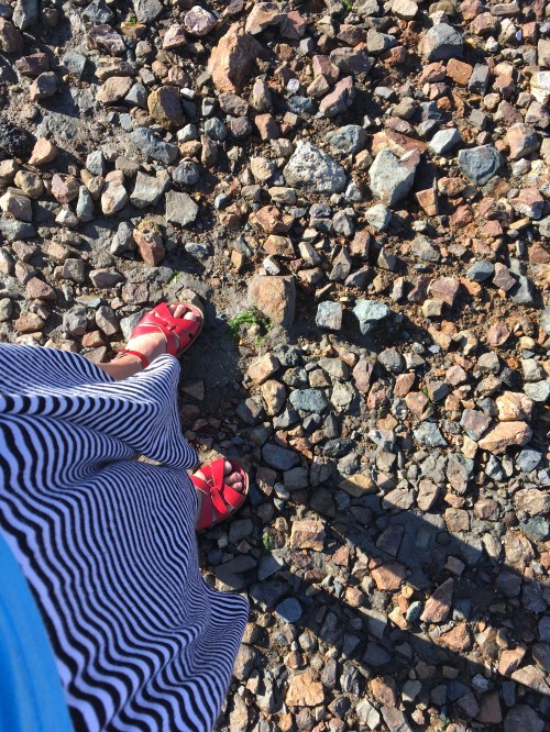 Houseproud fieldtrip picnic Bay Farm Island IMG_3075