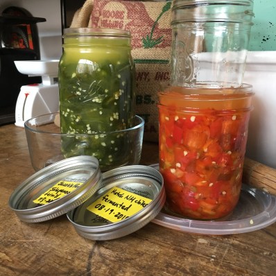 Houseproud End of Season jalapenos IMG_2792