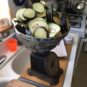 Houseproud Ferm'd Eggplant IMG_3001