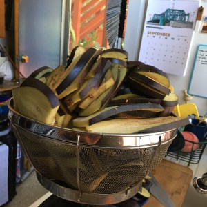 Houseproud Ferm'd Eggplant IMG_3009