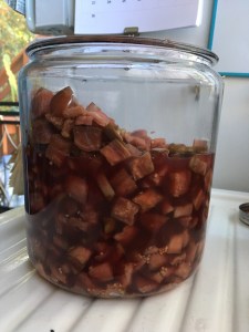 Houseproud Ferm'd Eggplant IMG_3123