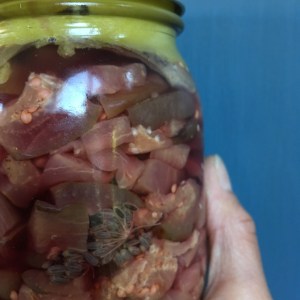 Houseproud Ferm'd Eggplant IMG_3602