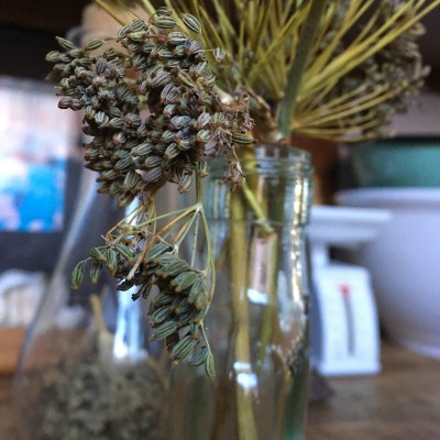 Houseproud Ferm'd Eggplant IMG_3669