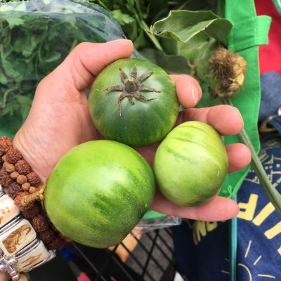 Houseproud Ferm'd Green Tomatoes IMG_3499