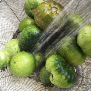 Houseproud Ferm'd Green Tomatoes IMG_3504