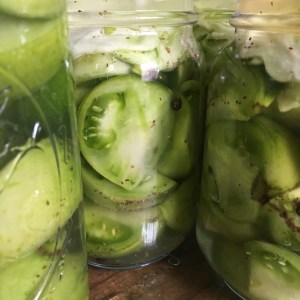 Houseproud Ferm'd Green Tomatoes IMG_3515