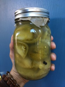 Houseproud Ferm'd Green Tomatoes IMG_3598