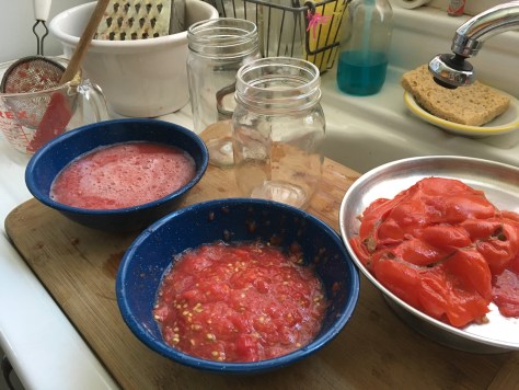 Houseproud Great Grated IMG_3253