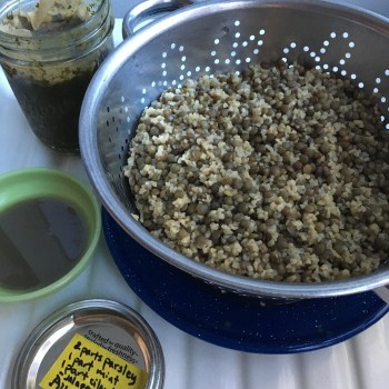Houseproud lentils and bulgur recipe IMG_3961
