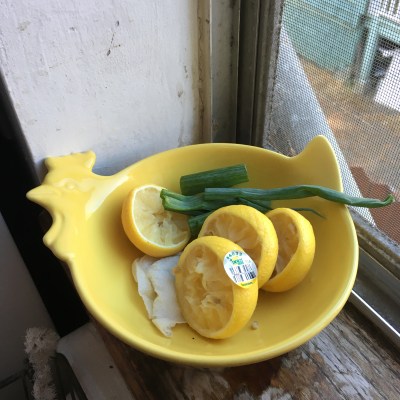 Houseproud lentils and bulgur recipe IMG_3962