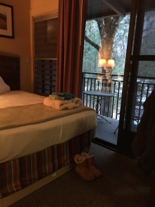 houseproud field trip yosemite 2019 img_5470