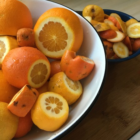 Houseproud orange you glad IMG_5829