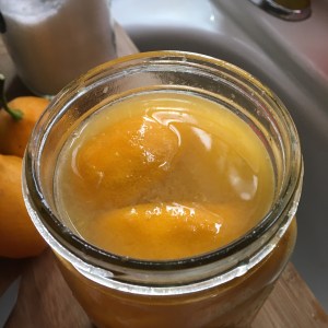 Houseproud salt cured lemons IMG_6050