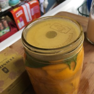 Houseproud salt cured lemons IMG_6061